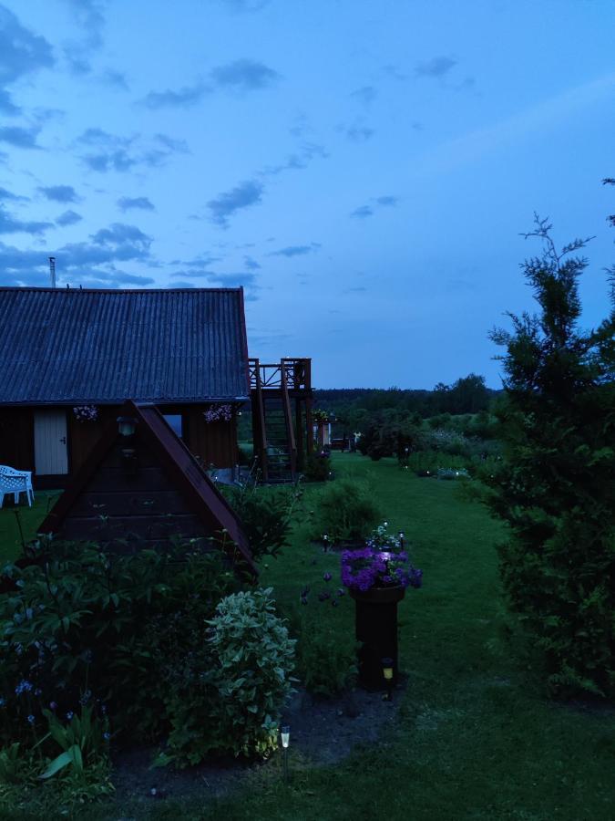Вилла Zalioji Padustis Экстерьер фото