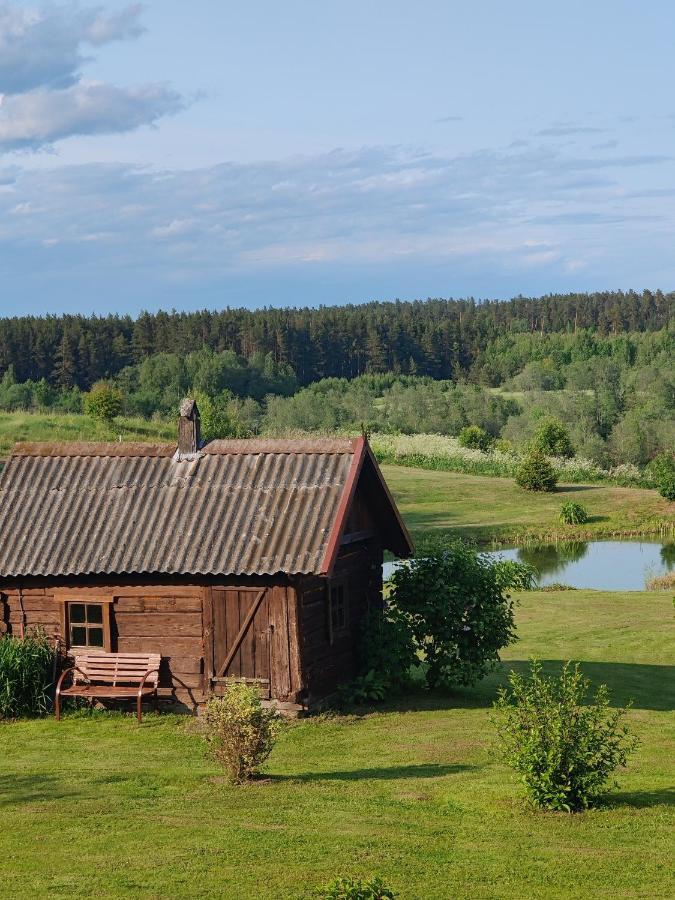 Вилла Zalioji Padustis Экстерьер фото