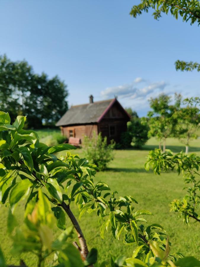 Вилла Zalioji Padustis Экстерьер фото